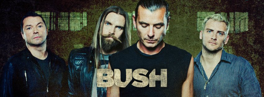 The mighty BUSH