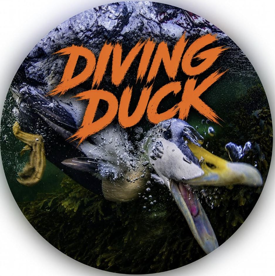 Diving Duck Blues Band