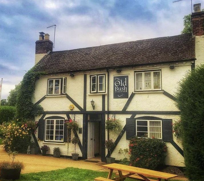 The Old Bush, Callow End