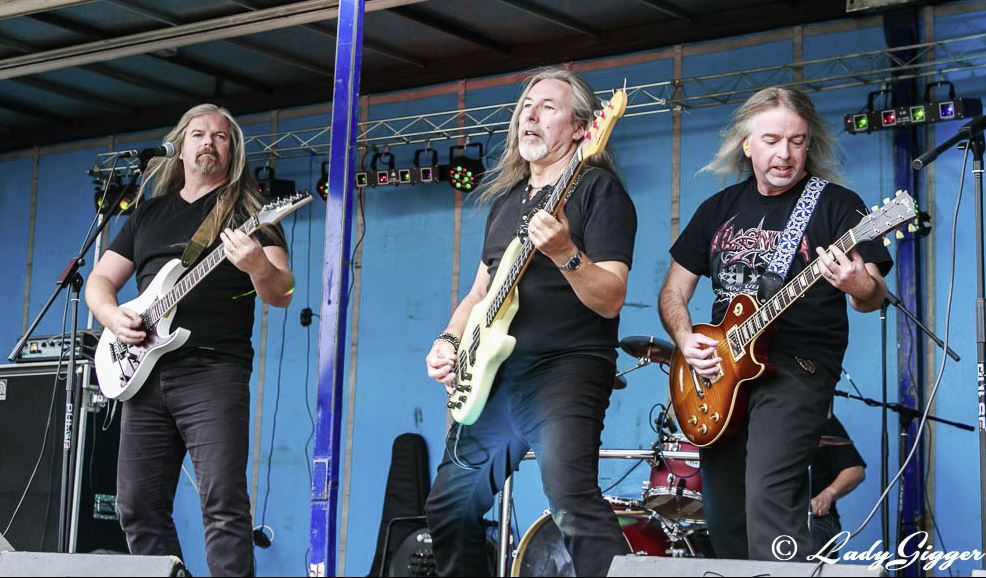 The Rooters