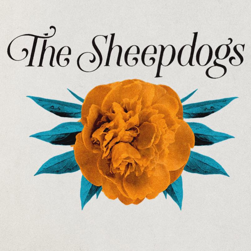 The Sheepdogs